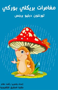 مغامرات بريكلي بوركي