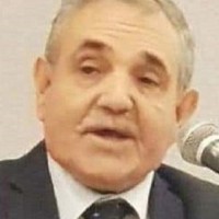 Mohamad Toufic Abou Ali