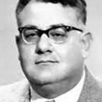 Gamal Al Din Al Shayyal