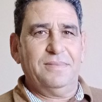 Yehia El Abadi