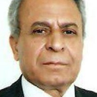 Hadi Neaman Al Heity