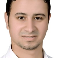 Mohammed Ibrahim Abdel Wahad