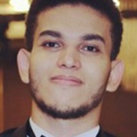 Mohamad Shaaban Abdullah