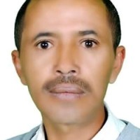 Ali Ahmad Abdo Kassem